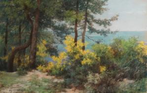 Les Mimosas à Menton