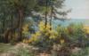 Les Mimosas à Menton